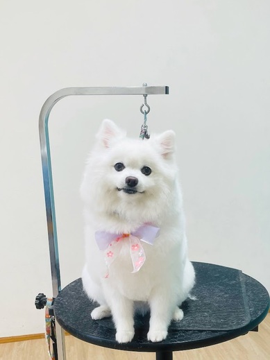 クルムちゃん♡