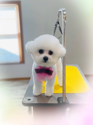 パルムちゃん♡