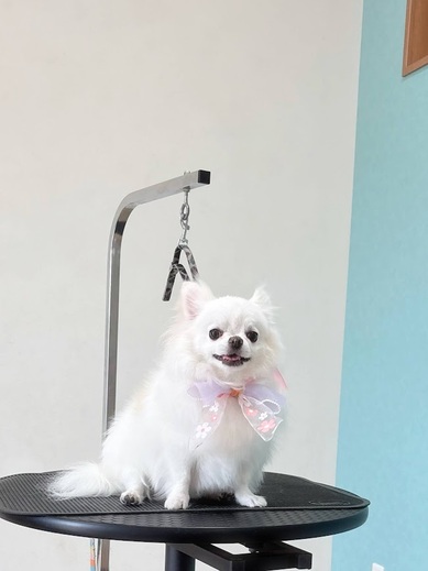 ふくちゃん♡まめくん♪
