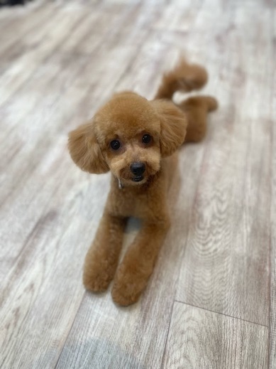 ネネちゃん♡
