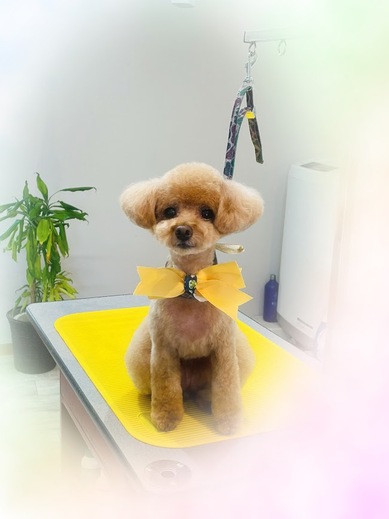 ルルちゃん♡ココちゃん♡