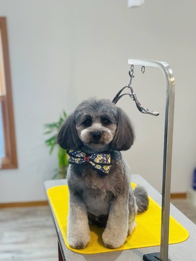 ハクくん♪ジジくん♪