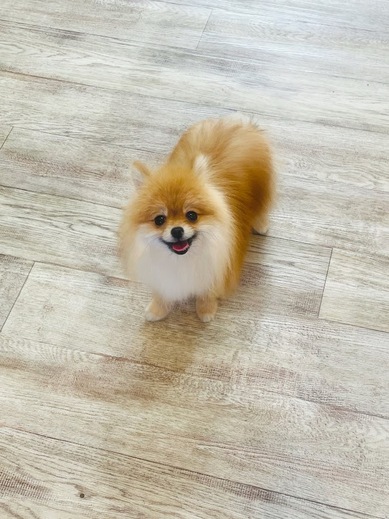 くうちゃん♡