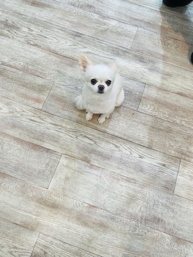にこちゃん♡