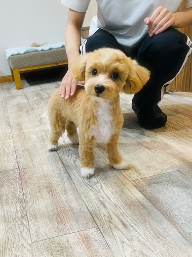 ラムくん♪
