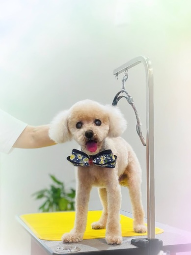 ライくん♪