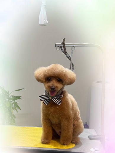 シオンくん♪