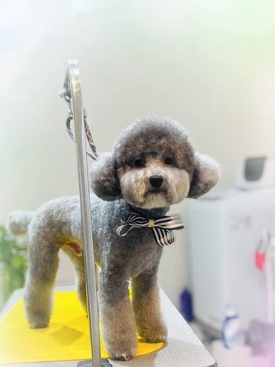 ごえもんくん♪