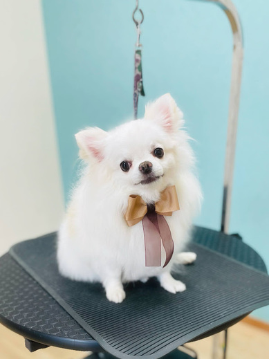 ふくちゃん♡まめくん♪