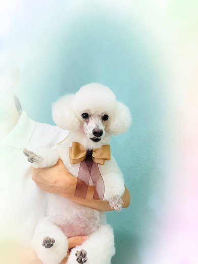 リリーちゃん♡