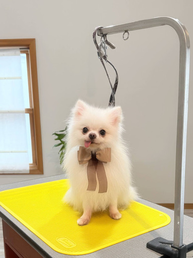 ハクくん♪