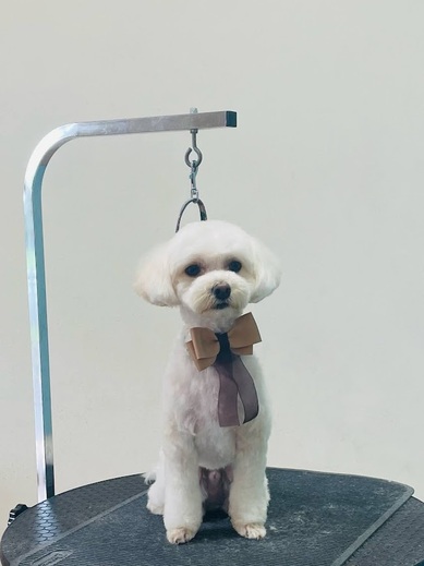 ふうくん♪