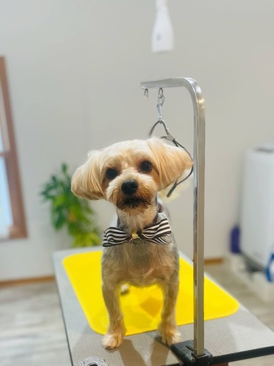 ベリーくん♪