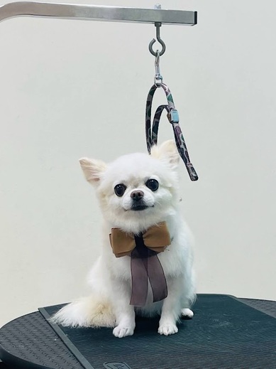 にこちゃん♡