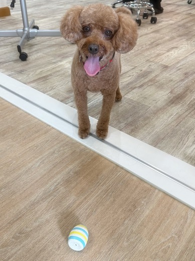 むっくくん♪