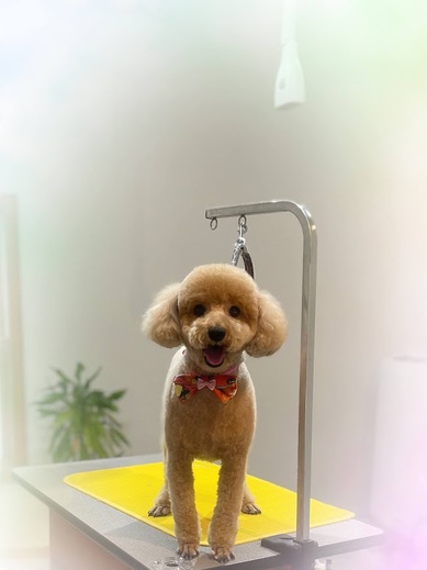 ベアちゃん♡