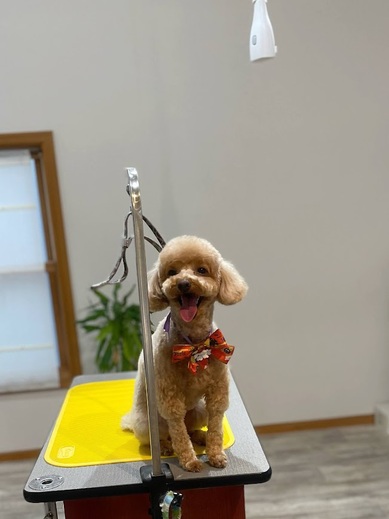 ロイくん♪