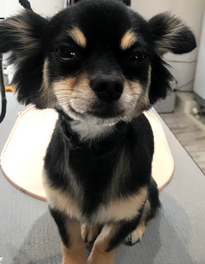 こまめちゃん♪