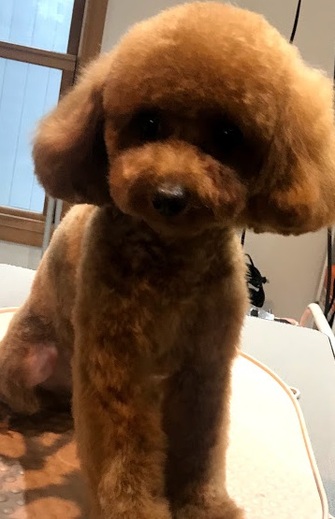 マメちゃん♡