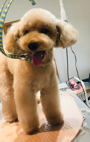 ライムくん♪