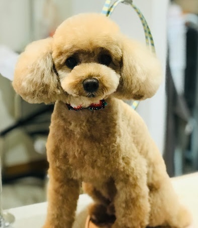 ライくん♪