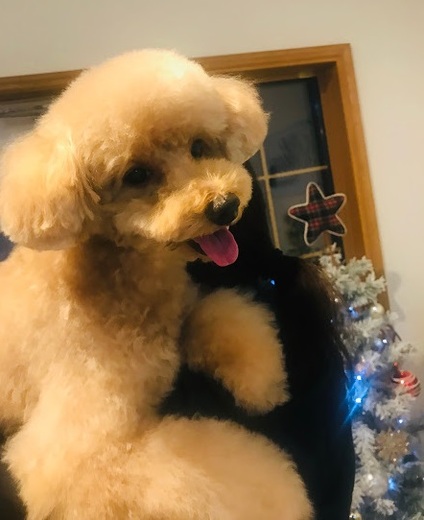 ライムくん♪