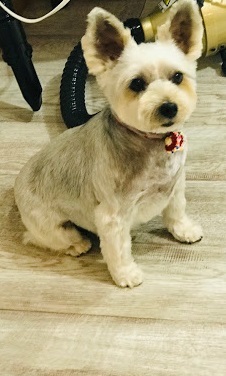 ココちゃん♡