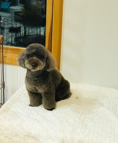 三郎くん♪